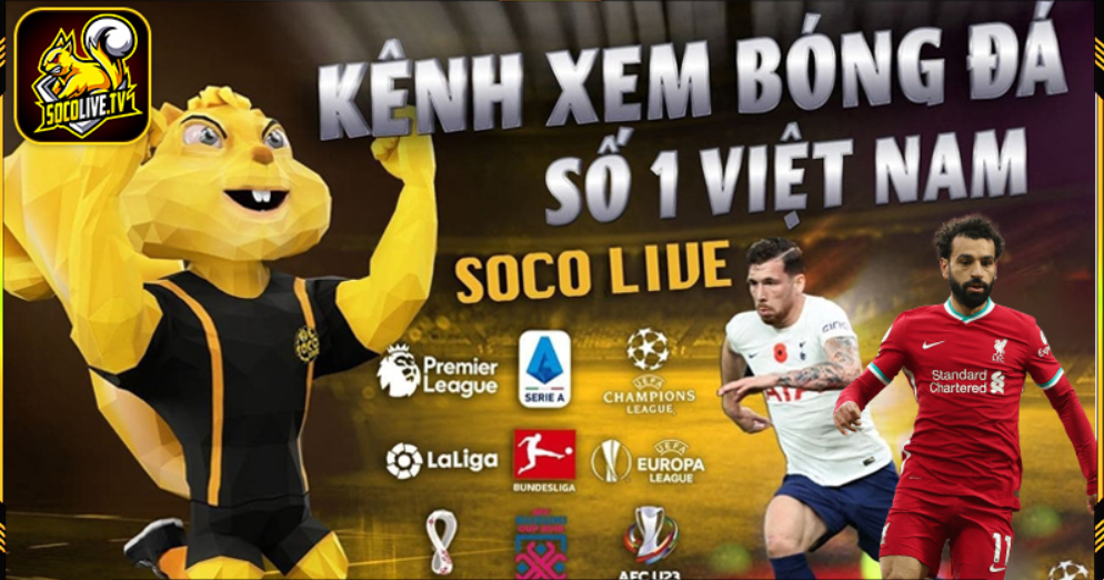 Những thông tin chi tiết về kênh website bóng đá Socolive Những thông tin chi tiết về kênh website bóng đá Socolive