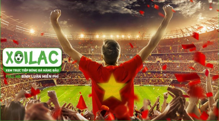 Thông tin về các giải đấu bóng đá có trên Xoilac TV Thông tin về các giải đấu bóng đá có trên Xoilac TV