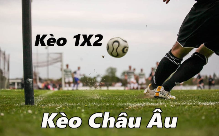 Kèo châu Âu khá đơn giản nên được nhiều tân thủ chọn Kèo châu Âu khá đơn giản nên được nhiều tân thủ chọn